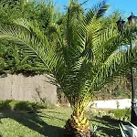 Casa Rosa Maria 普拉加德阿罗