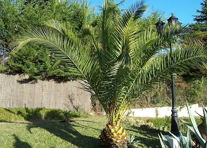 Casa Rosa Maria Platja d'Aro